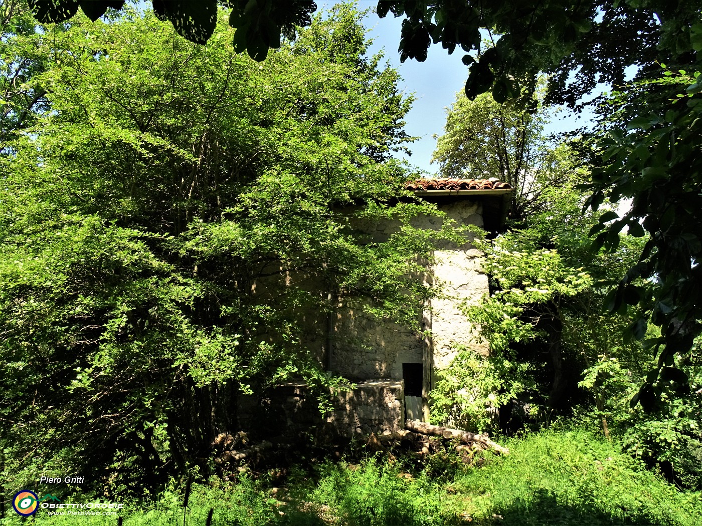 53 Ol Ruculu immerso nel verde.JPG